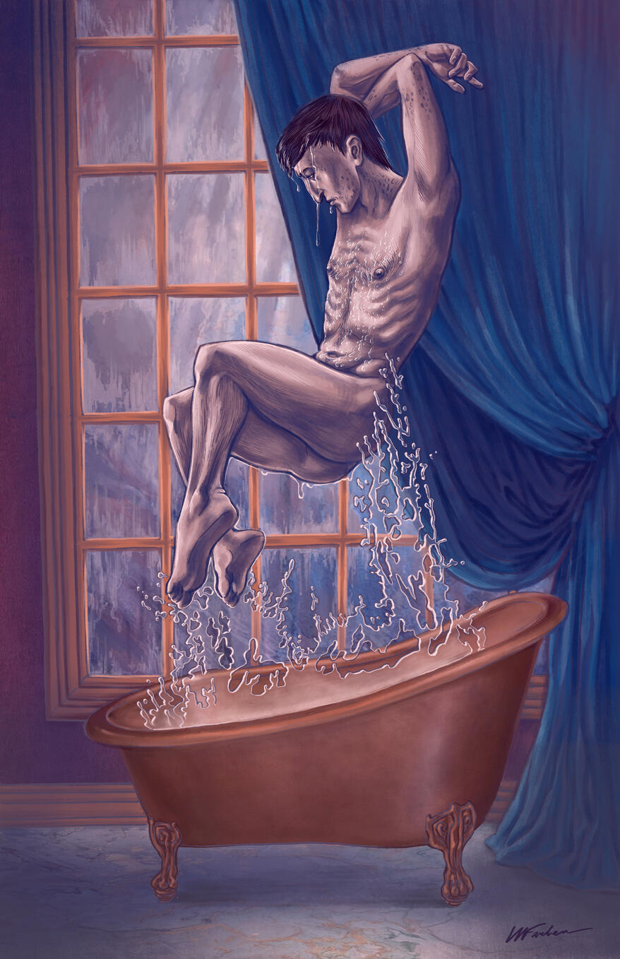 The Hedgewitch Becomes a Sorceror (Interior Book Illustration)